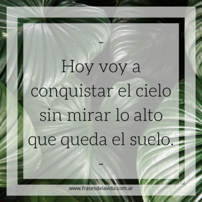 Conquistar el cielo.