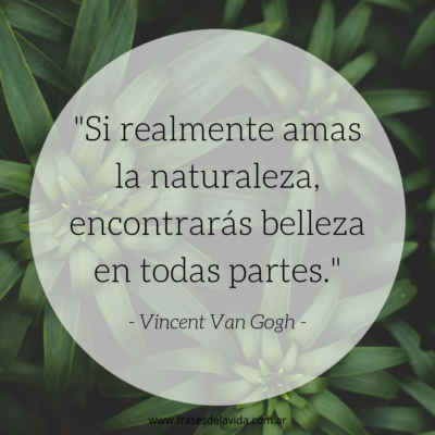 Amor por la naturaleza