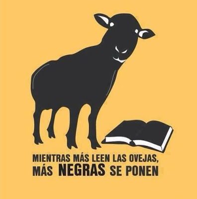 Cuando las ovejas leen..