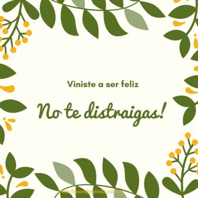 No te distraigas!