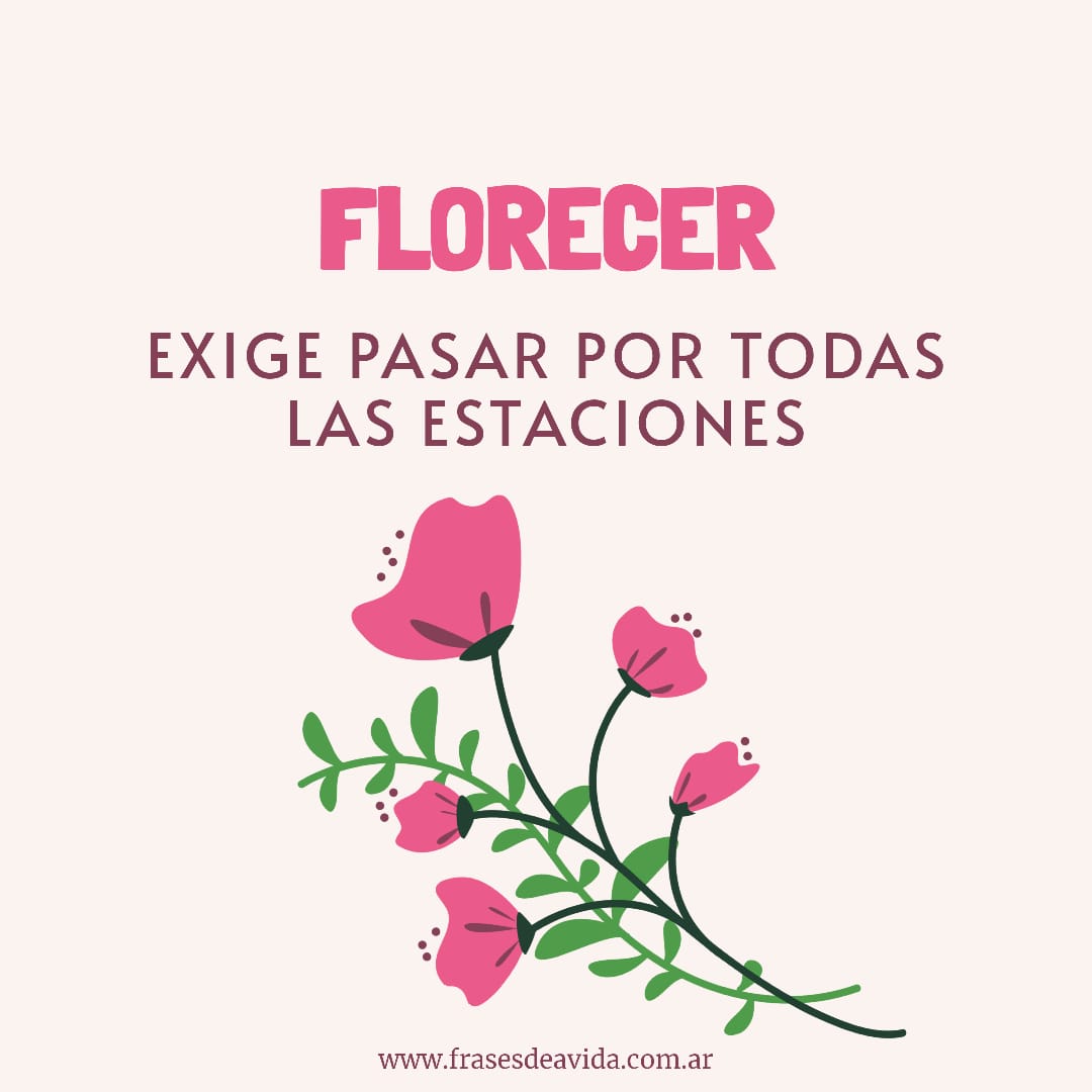 Florecer - Frases de la vida
