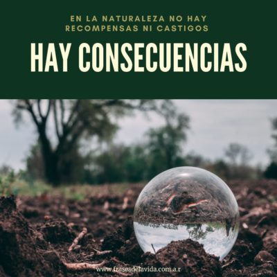 En la naturaleza no hay recompensas ni castigos