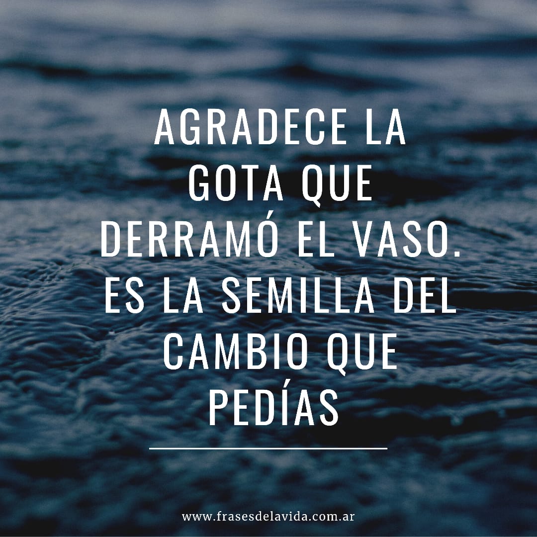Agradece la gota que derramó el vaso Frases de la vida