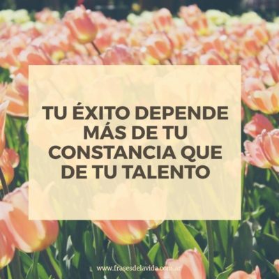 El éxito depende de la constancia