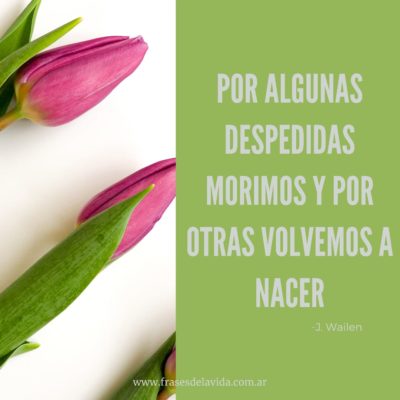 Las despedidas