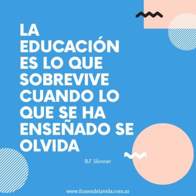 La educación es lo que sobrevive