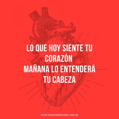 Lo que hoy siente tu corazón, mañana lo entenderá tu cabeza