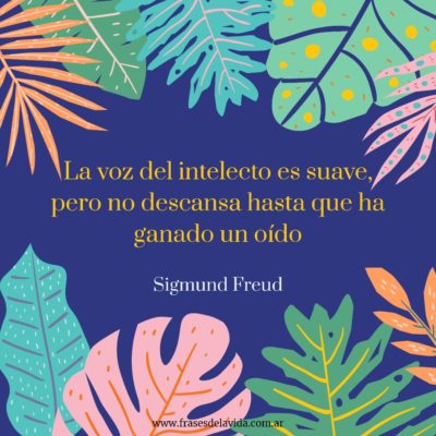 La voz del intelecto