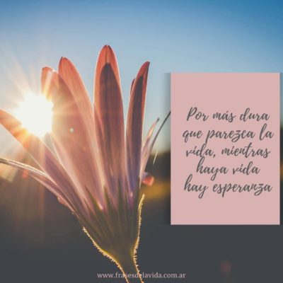 Mientras haya vida hay esperanza