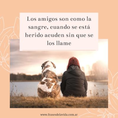 Los amigos son como la sangre