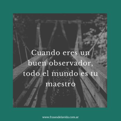Todo el mundo es tu maestro