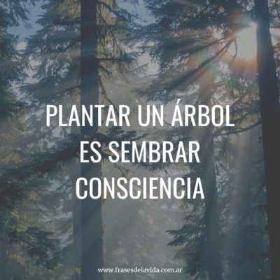 Sembrar consciencia