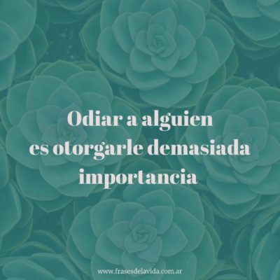 Odiar a alguien es otorgarle demasiada importancia
