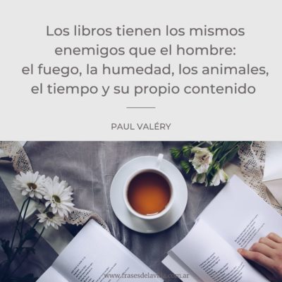 Los libros tienen los mismos enemigos que el hombre