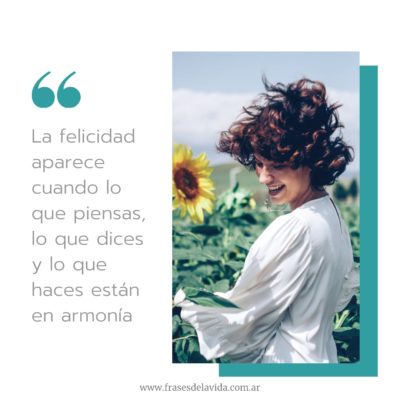 La felicidad aparece cuando todo está en armonía