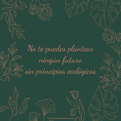 Sin principios ecológicos, no hay futuro