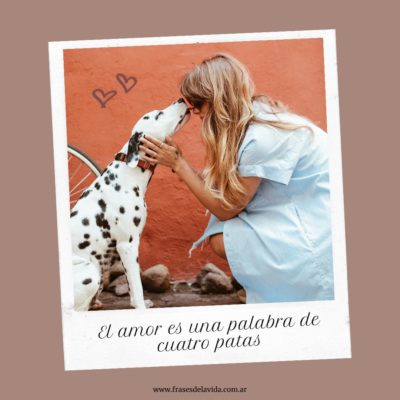 El amor es una palabra de cuatro patas 