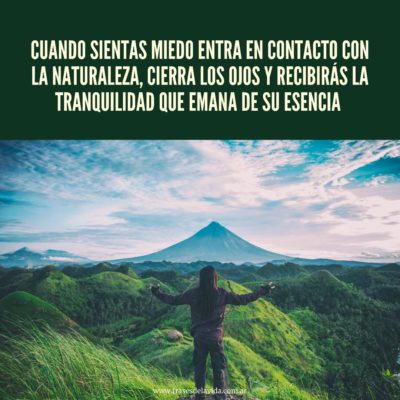 Cuando sientas miedo entra en contacto con la naturaleza