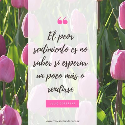 Esperar o rendirse?
