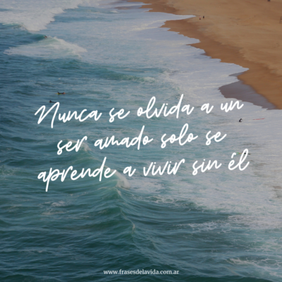 Nunca se olvida a un ser amado solo se aprende a vivir sin él