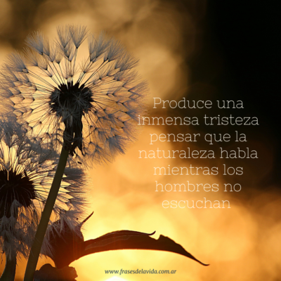 Produce una inmensa tristeza pensar que la naturaleza habla mientras los hombres no escuchan