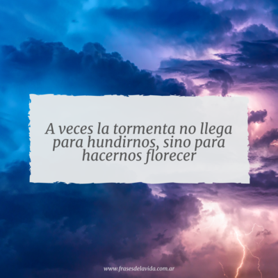 A veces la tormenta no llega para hundirnos, sino para hacernos florecer