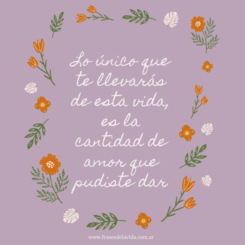 Lo único que te llevarás de esta vida, es la cantidad de amor que pudiste  dar - Frases de la vida