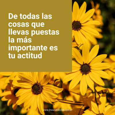 De todas las cosas que llevas puestas la más importante es tu actitud