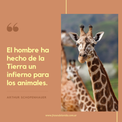 El hombre ha hecho de la Tierra un infierno para los animales