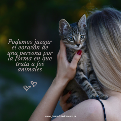 Podemos juzgar el corazón de una persona por la forma en que trata a los animales
