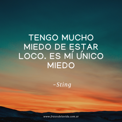 Tengo mucho miedo de estar loco.  Es mí único miedo