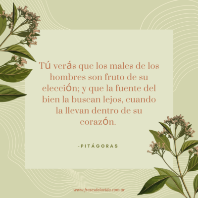 Tú verás que los males de los hombres son fruto de su elección