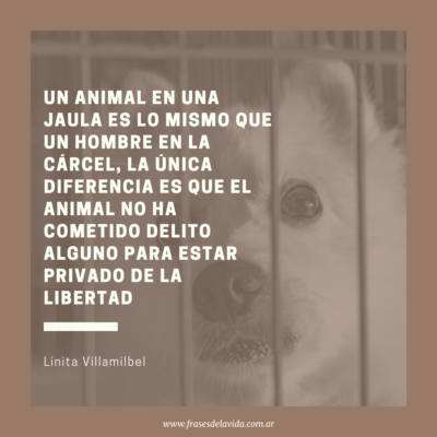 Un animal en una jaula es lo mismo que un hombre en la cárcel, la única diferencia es que el animal no ha cometido delito alguno para estar privado de la libertad