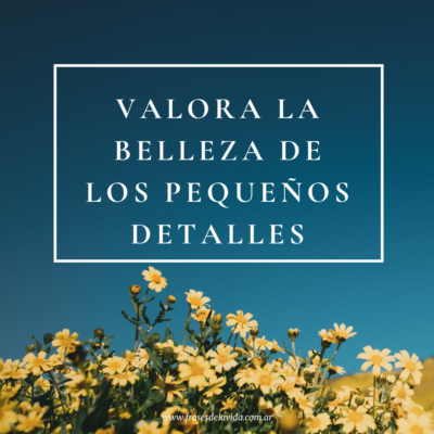 Valora la belleza de los pequeños detalles