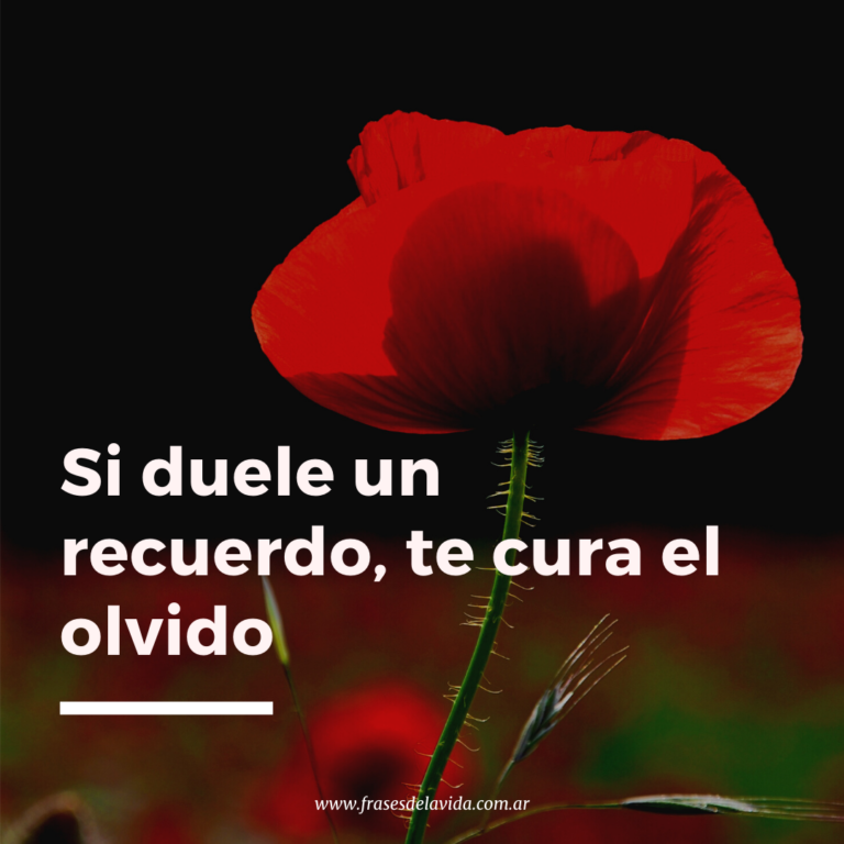 Te Olvido Recuerdo El Amor Drama