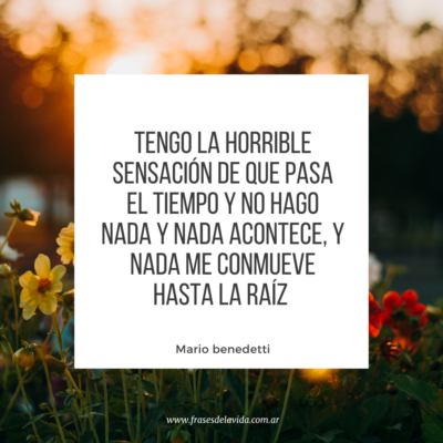 Tengo la horrible sensación de que pasa el tiempo y no hago nada y nada acontece, y nada me conmueve hasta la raíz