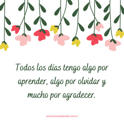 Todos los días tengo algo por aprender, algo por olvidar y mucho por agradecer.
