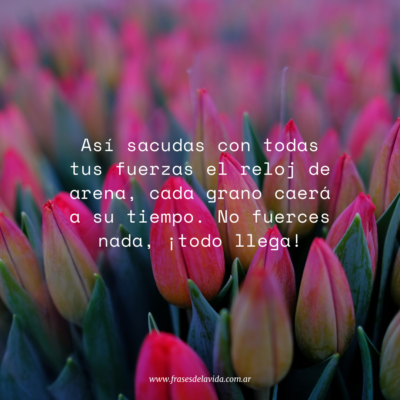Así sacudas con todas tus fuerzas el reloj de arena, cada grano caerá a su tiempo. No fuerces nada, ¡todo llega!