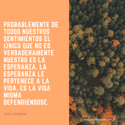 Probablemente de todos nuestros sentimientos el único que no es verdaderamente nuestro es la esperanza. La esperanza le pertenece a la vida, es la vida misma defendiéndose