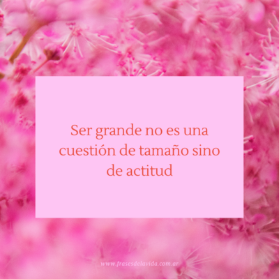 Ser grande no es una cuestión de tamaño sino de actitud