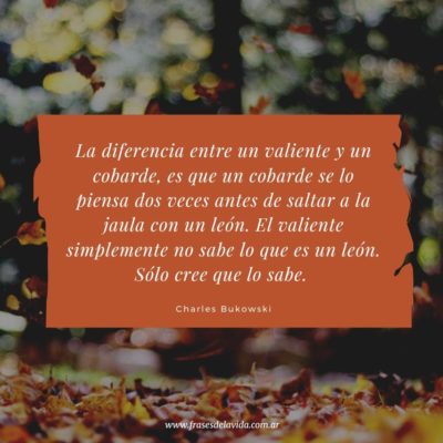 La diferencia entre un valiente y un cobarde, es que un cobarde se lo piensa dos veces antes de saltar a la jaula con un león. El valiente simplemente no sabe lo que es un león. Sólo cree que lo sabe.
