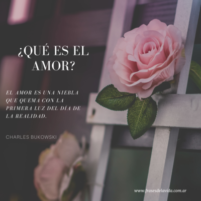 ¿Qué es el amor? El amor es una niebla que quema con la primera luz del día de la realidad