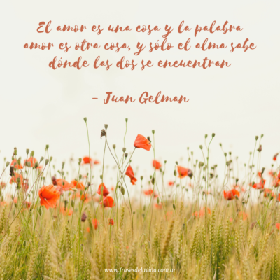 El amor es una cosa y la palabra amor es otra cosa, y sólo el alma sabe dónde las dos se encuentran