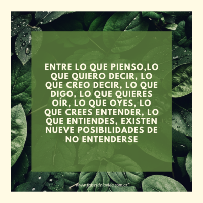 Entre lo que pienso,lo que quiero decir, lo que creo decir, lo que digo, lo que quieres oír, lo que oyes, lo que crees entender, lo que entiendes, existen nueve posibilidades de no entenderse