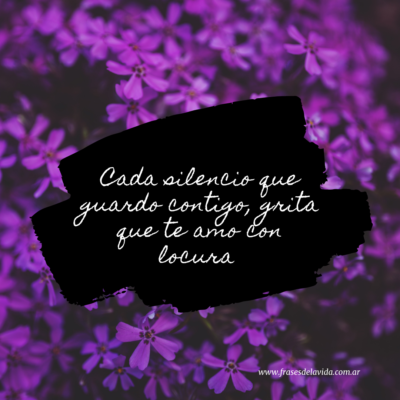 Cada silencio que guardo contigo, grita que te amo con locura