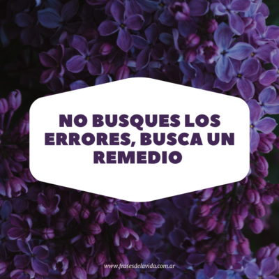 No busques los errores, busca un remedio