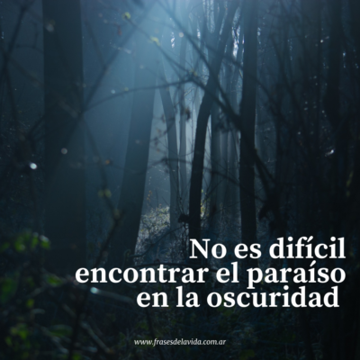 No es difícil encontrar el paraíso en la oscuridad