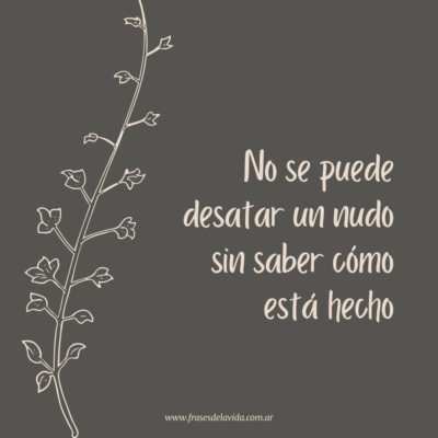 No se puede desatar un nudo sin saber cómo está hecho