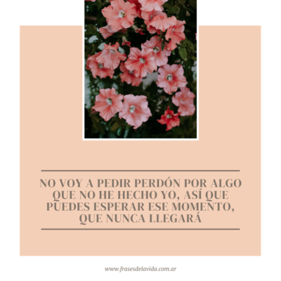 No voy a pedir perdón por algo que no he hecho yo, así que puedes esperar ese momento, que nunca llegará.
