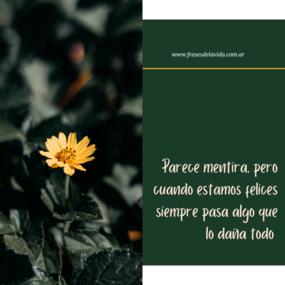 Parece mentira, pero cuando estamos felices siempre pasa algo que lo daña todo